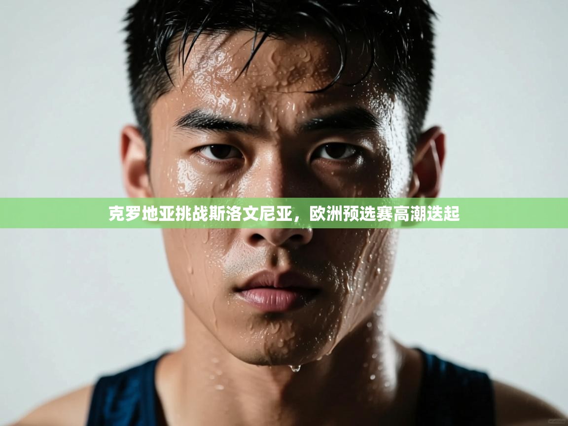 克罗地亚挑战斯洛文尼亚，欧洲预选赛高潮迭起  第2张