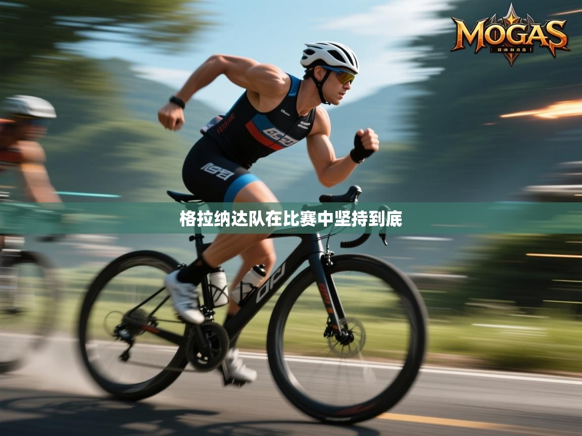 格拉纳达队在比赛中坚持到底