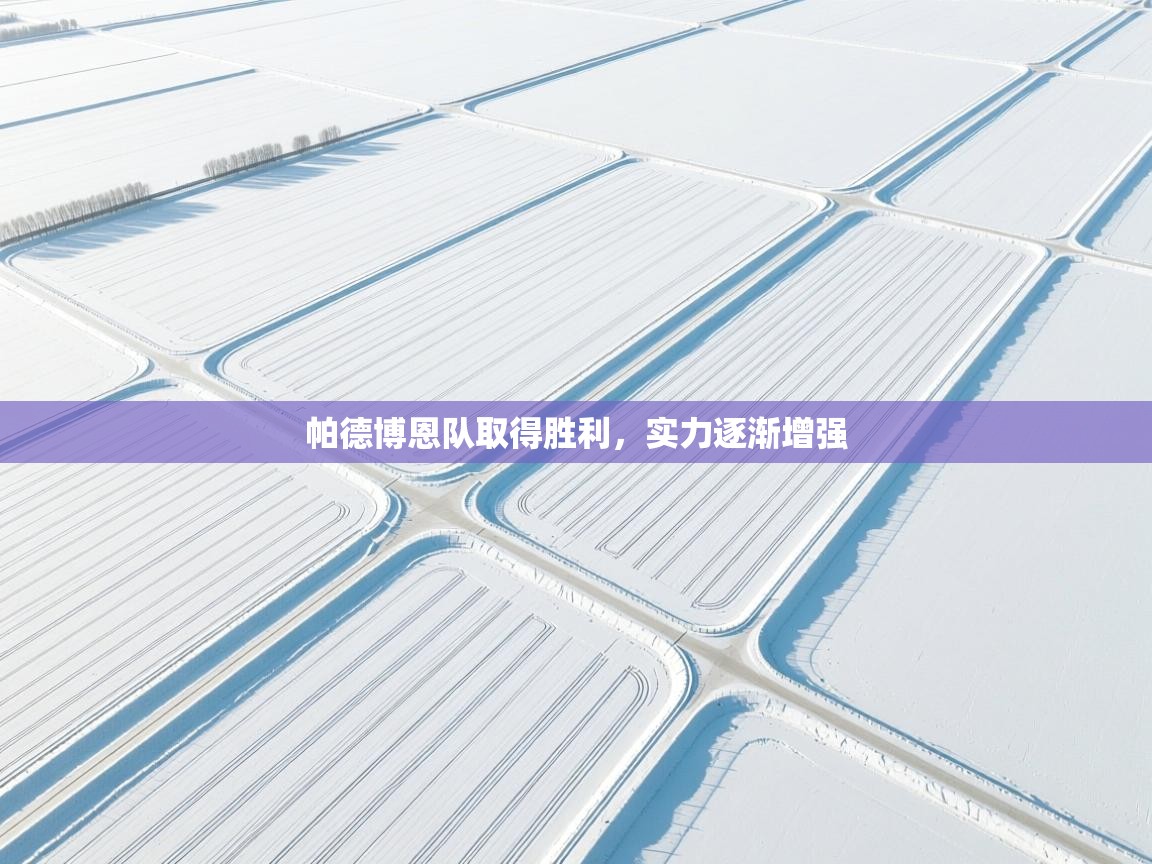 帕德博恩队取得胜利，实力逐渐增强  第1张