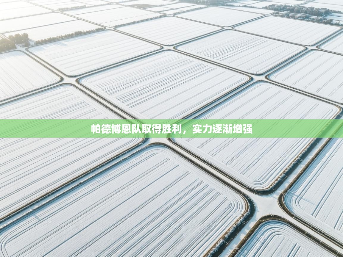 帕德博恩队取得胜利，实力逐渐增强  第2张