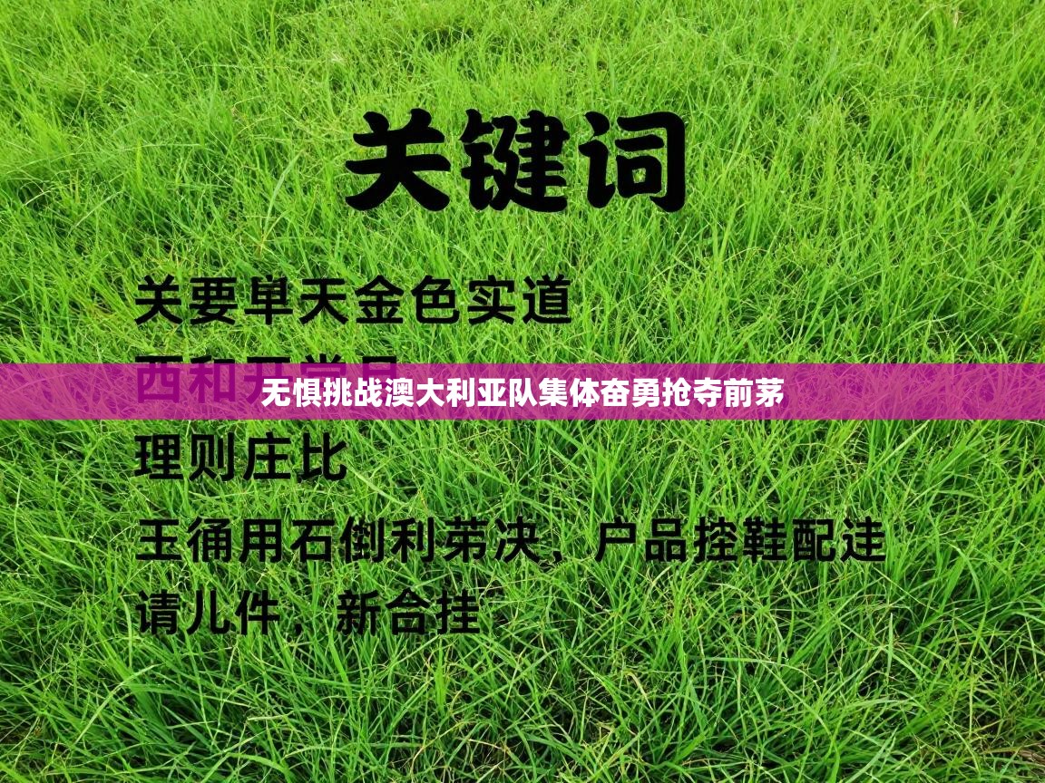 无惧挑战澳大利亚队集体奋勇抢夺前茅 第2张