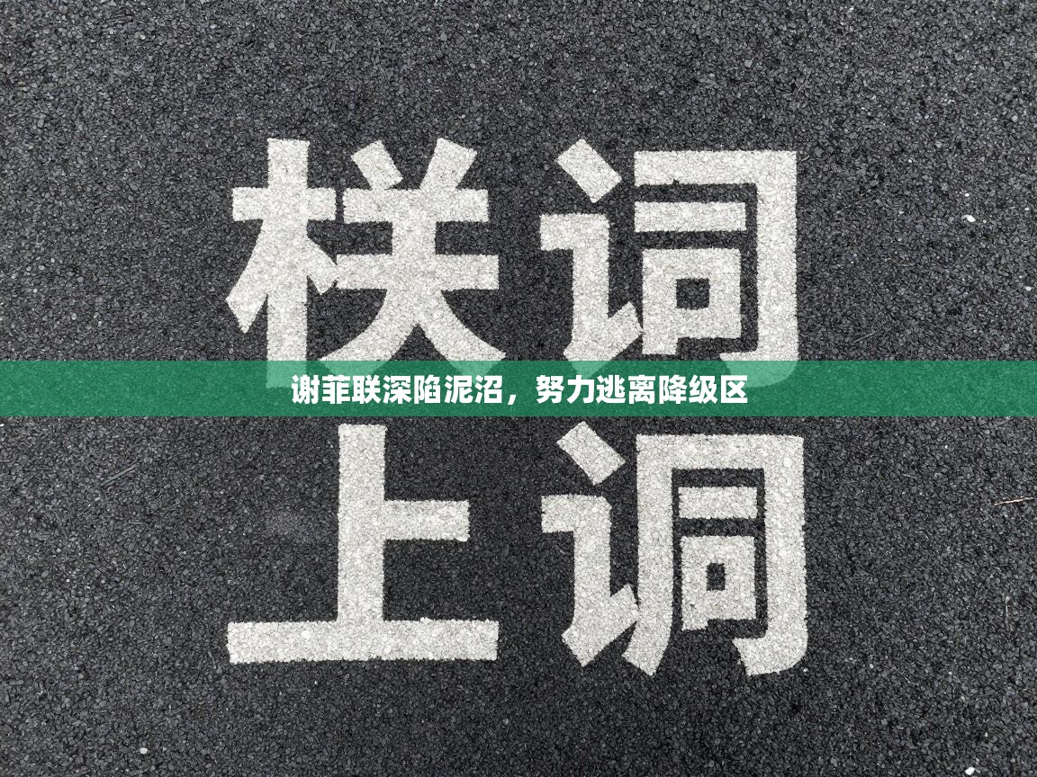 谢菲联深陷泥沼，努力逃离降级区