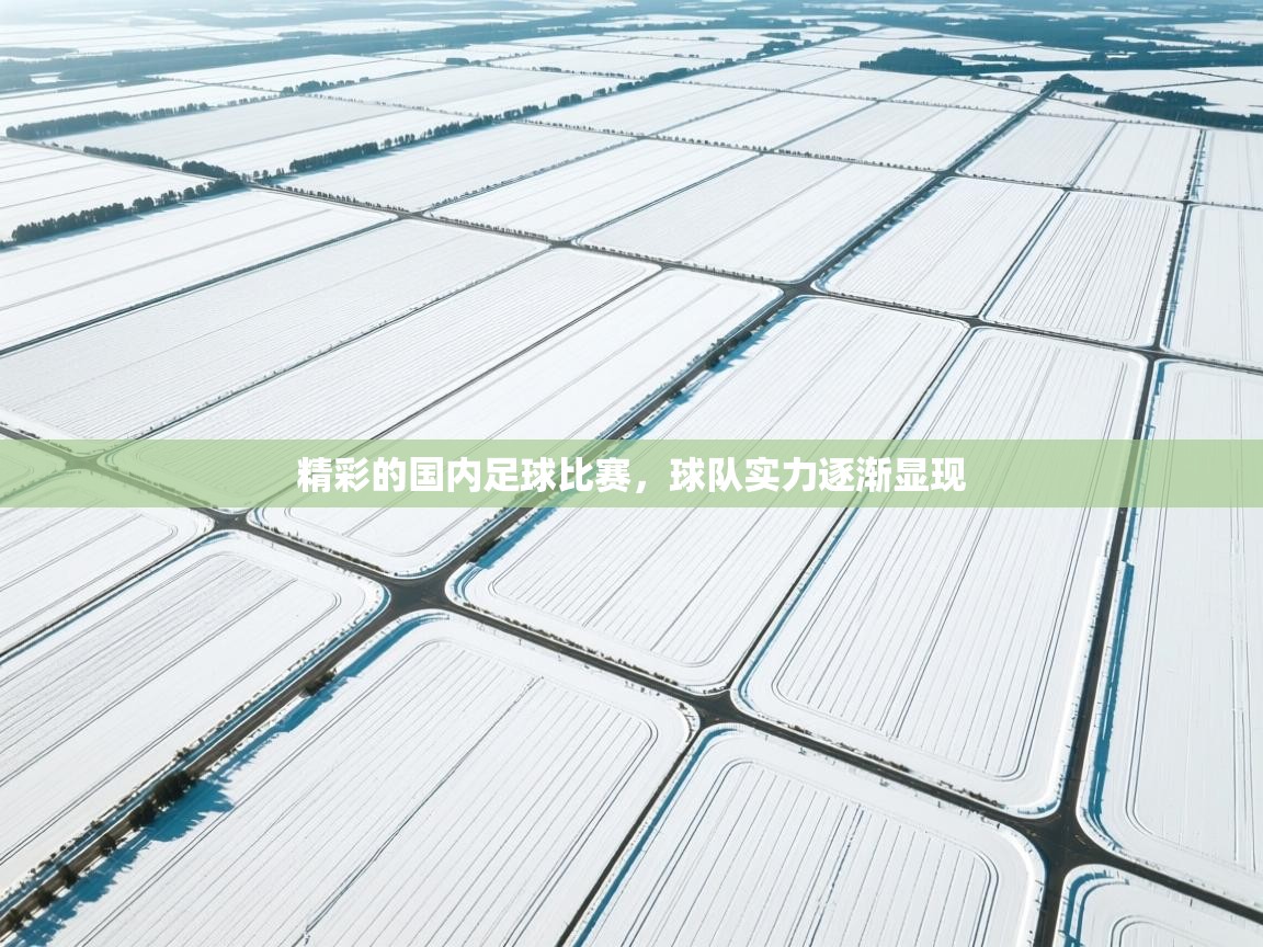 精彩的国内足球比赛,球队实力逐渐显现 第2张